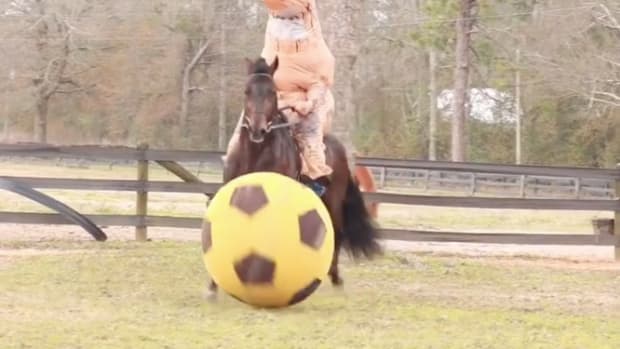 trex-horse-soccer.png